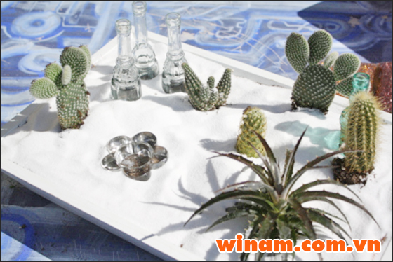 Winam cung cấp Cát trắng thi công ngoại thất cho sân vườn, khuôn viên Biệt thự